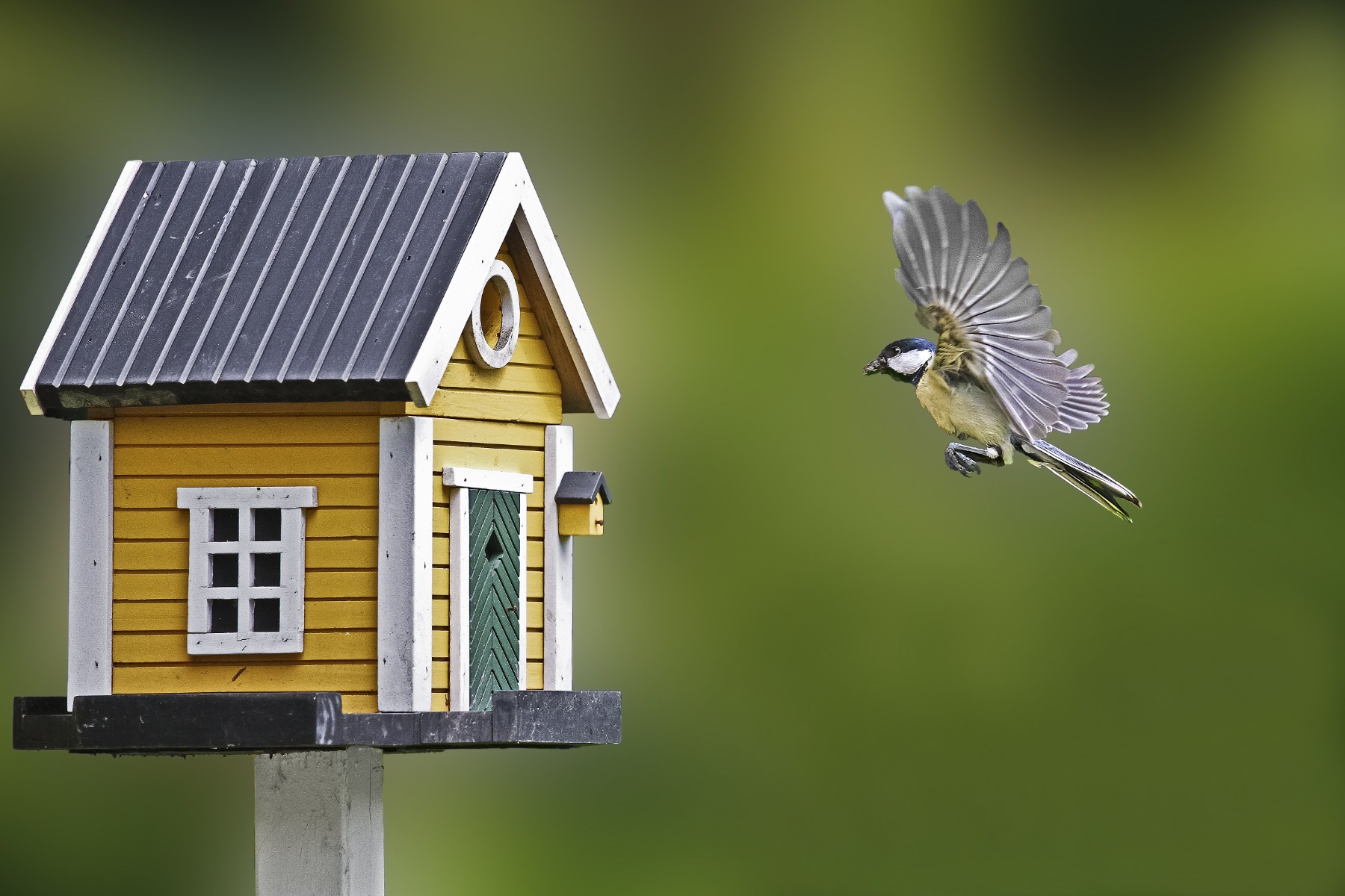 Voederhuisjes van Tuinchamp